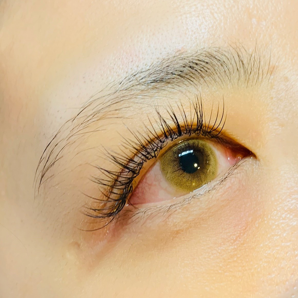 マツエクサロン eyeliy(アイリー)フラットラッシュ